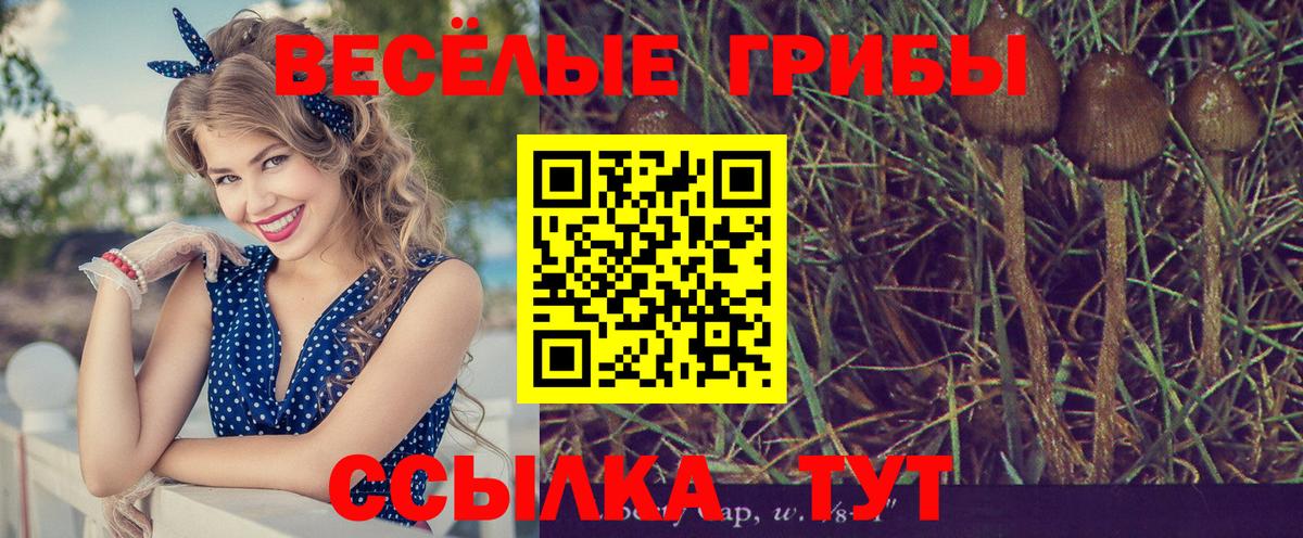 магазин продажи   Галлюциногенные грибы ЛСД  Вход с VPN  Кубинка 